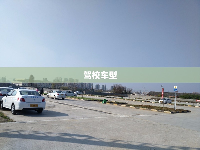 驾校车型/驾校车型都有什么,啥意思