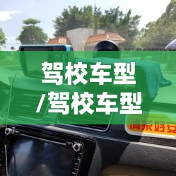 驾校车型/驾校车型都有什么,啥意思