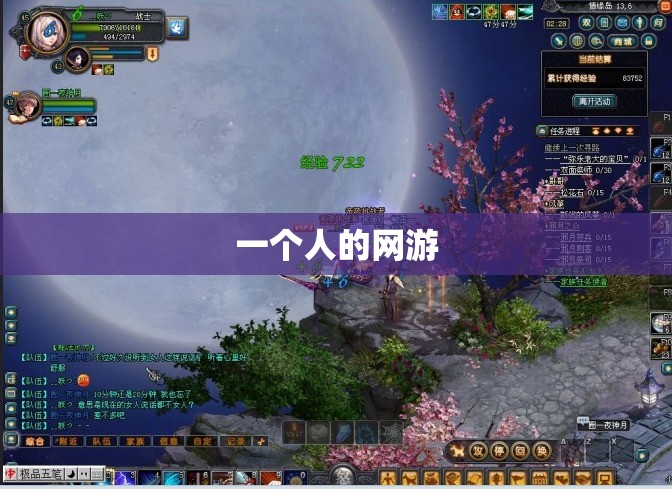 【一个人的网游,一个人的网游好看吗】