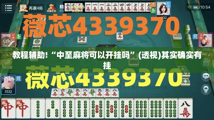 教程辅助!“中至麻将可以开挂吗	”(透视)其实确实有挂