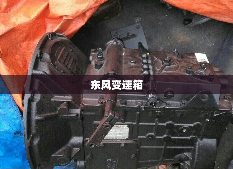 东风变速箱（东风变速箱总成展示）