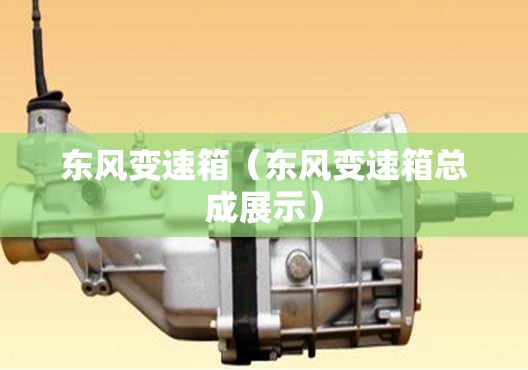 东风变速箱（东风变速箱总成展示）