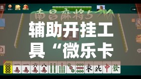 辅助开挂工具“微乐卡五星透视挂	”原来可以开挂