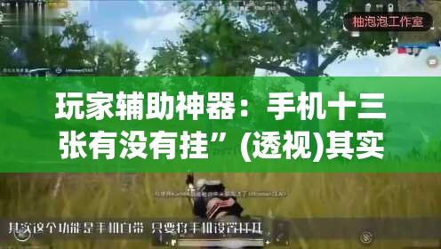 玩家辅助神器：手机十三张有没有挂”(透视)其实确实有挂