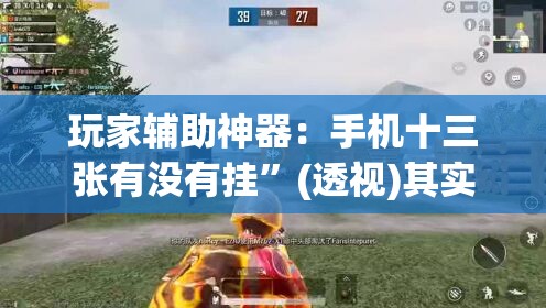 玩家辅助神器：手机十三张有没有挂	”(透视)其实确实有挂