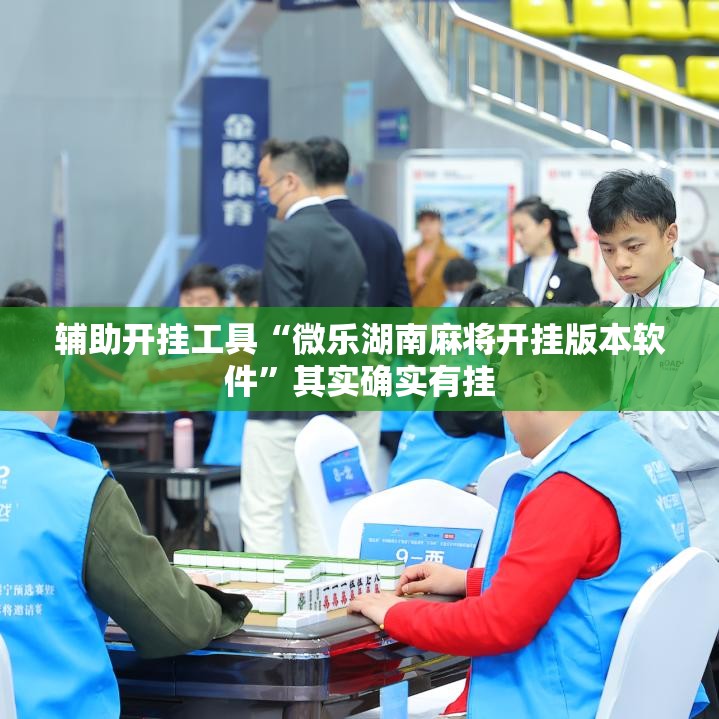 辅助开挂工具“微乐湖南麻将开挂版本软件”其实确实有挂
