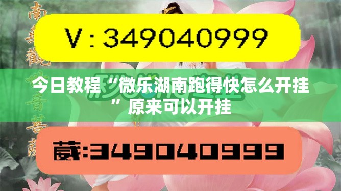 今日教程“微乐湖南跑得快怎么开挂”原来可以开挂