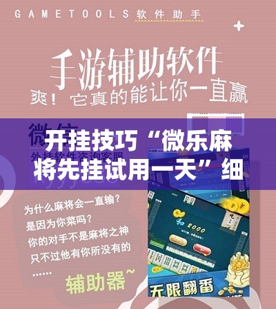 开挂技巧“微乐麻将先挂试用一天”细辅助教程分享