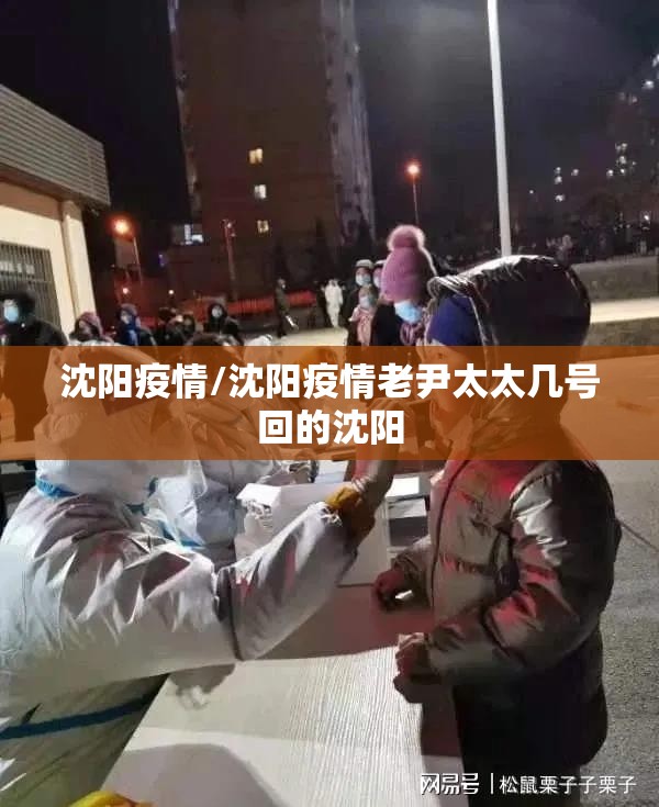 沈阳疫情/沈阳疫情老尹太太几号回的沈阳 沈阳疫情/沈阳疫情老尹太太几号回的沈阳