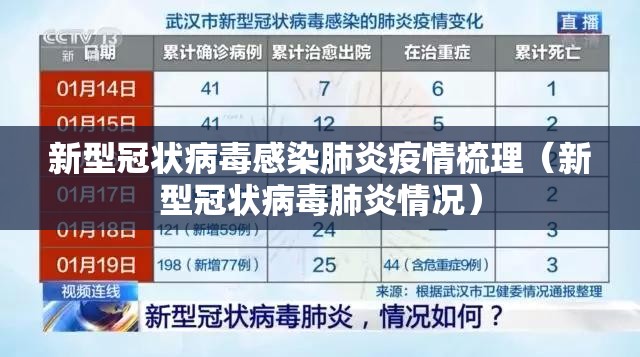 新型冠状病毒感染肺炎疫情梳理（新型冠状病毒肺炎情况）