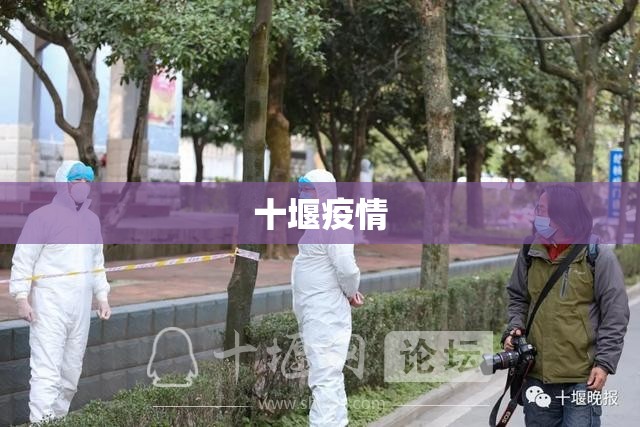 十堰疫情/十堰疫情向杨柳