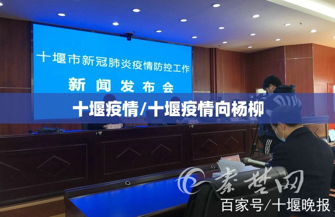 十堰疫情/十堰疫情向杨柳
