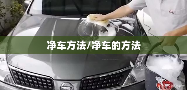 净车方法/净车的方法 净车方法/净车的方法