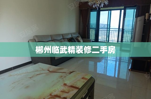 郴州临武精装修二手房（临武最新二手房出售）