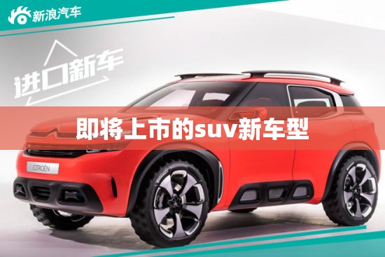 即将上市的suv新车型（2022即将上市的新款suv车）