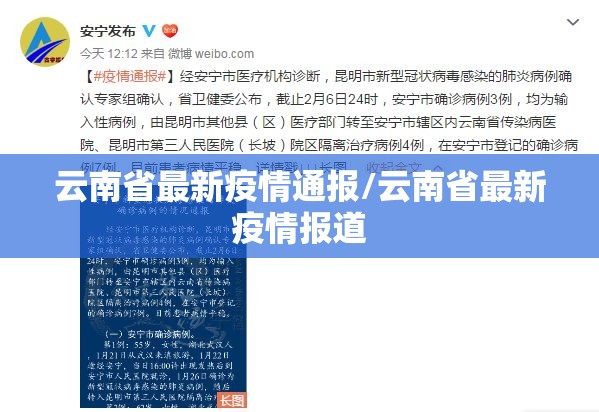 云南省最新疫情通报/云南省最新疫情报道