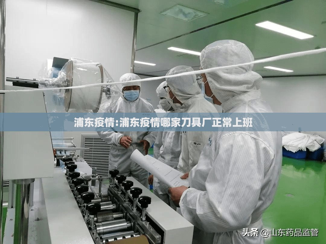 浦东疫情:浦东疫情哪家刀具厂正常上班