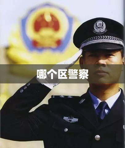 哪个区警察（哪里的警察最负责）