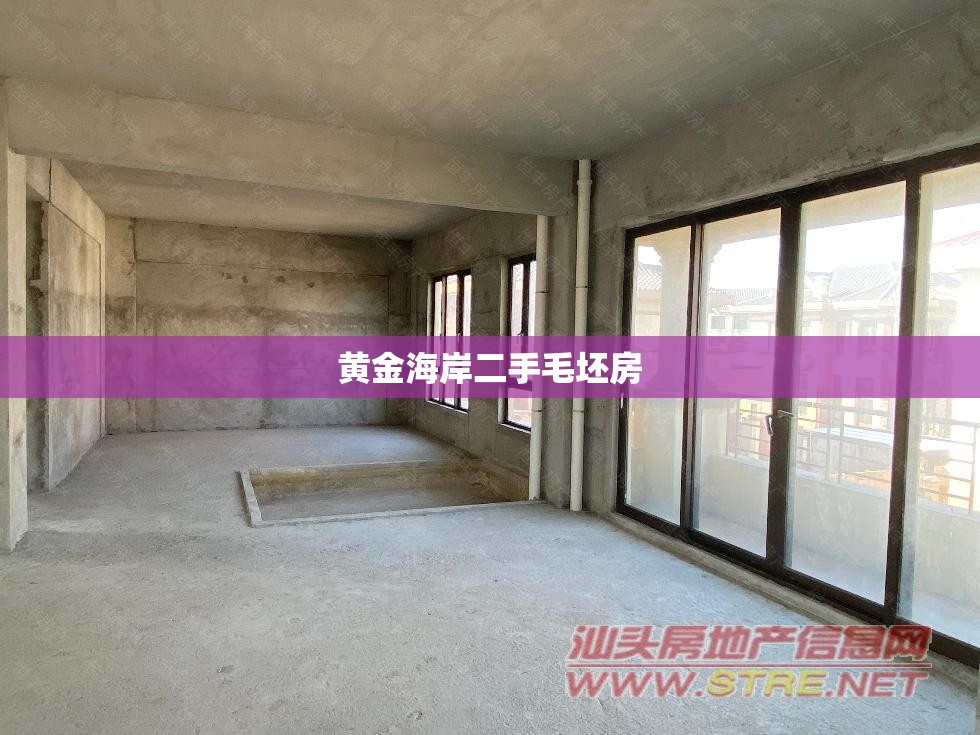 黄金海岸二手毛坯房（黄金海岸二手别墅）