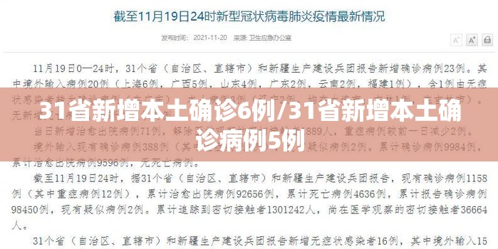 31省新增本土确诊6例/31省新增本土确诊病例5例