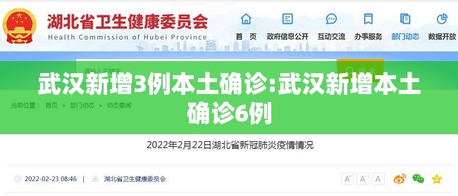 武汉新增3例本土确诊:武汉新增本土确诊6例