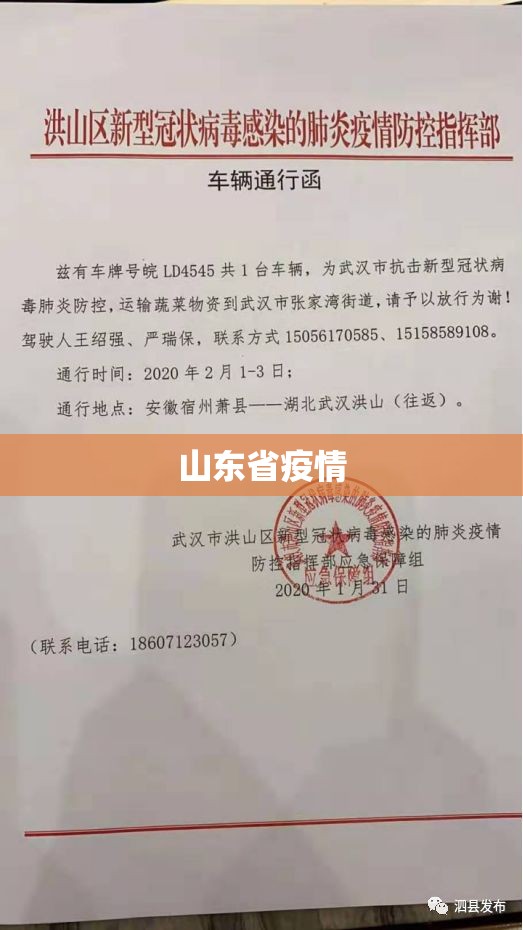 山东省疫情（山东省疫情防控一线人员职称政策）