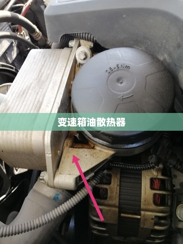 【变速箱油散热器/变速箱油散热器漏油】