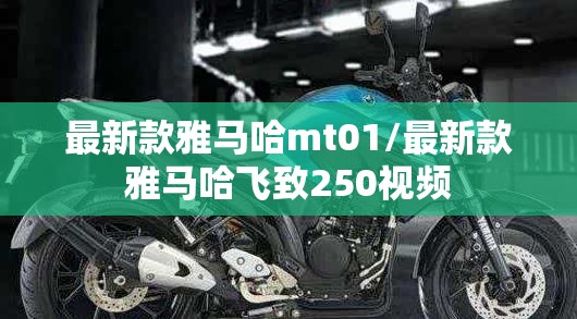 最新款雅马哈mt01/最新款雅马哈飞致250视频