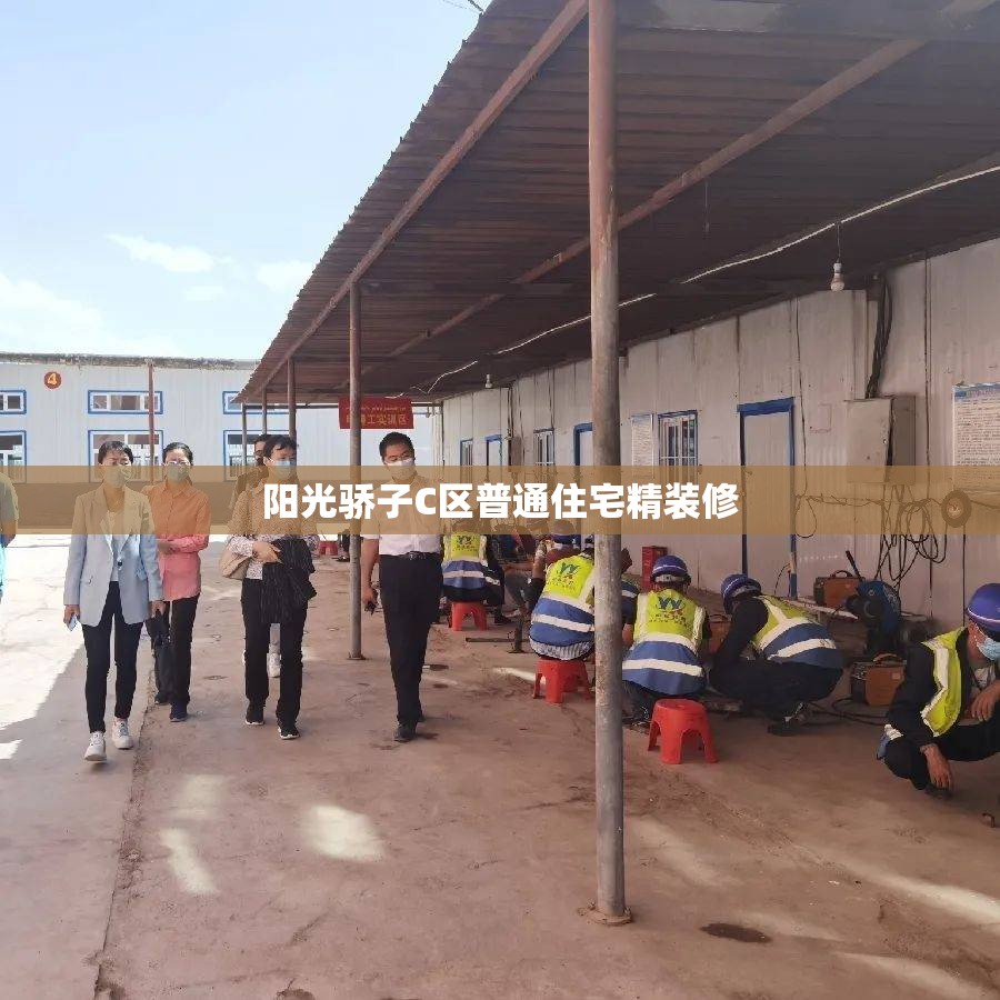 阳光骄子C区普通住宅精装修（阳光骄子教育）