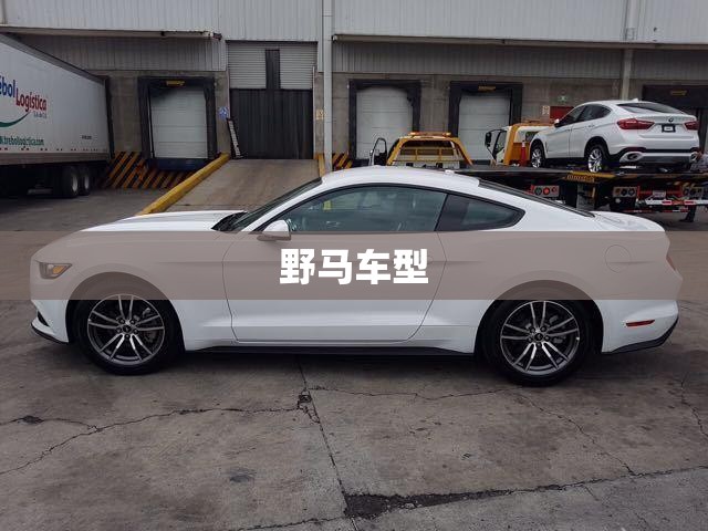 野马车型(福特野马车型) 野马车型(福特野马车型)