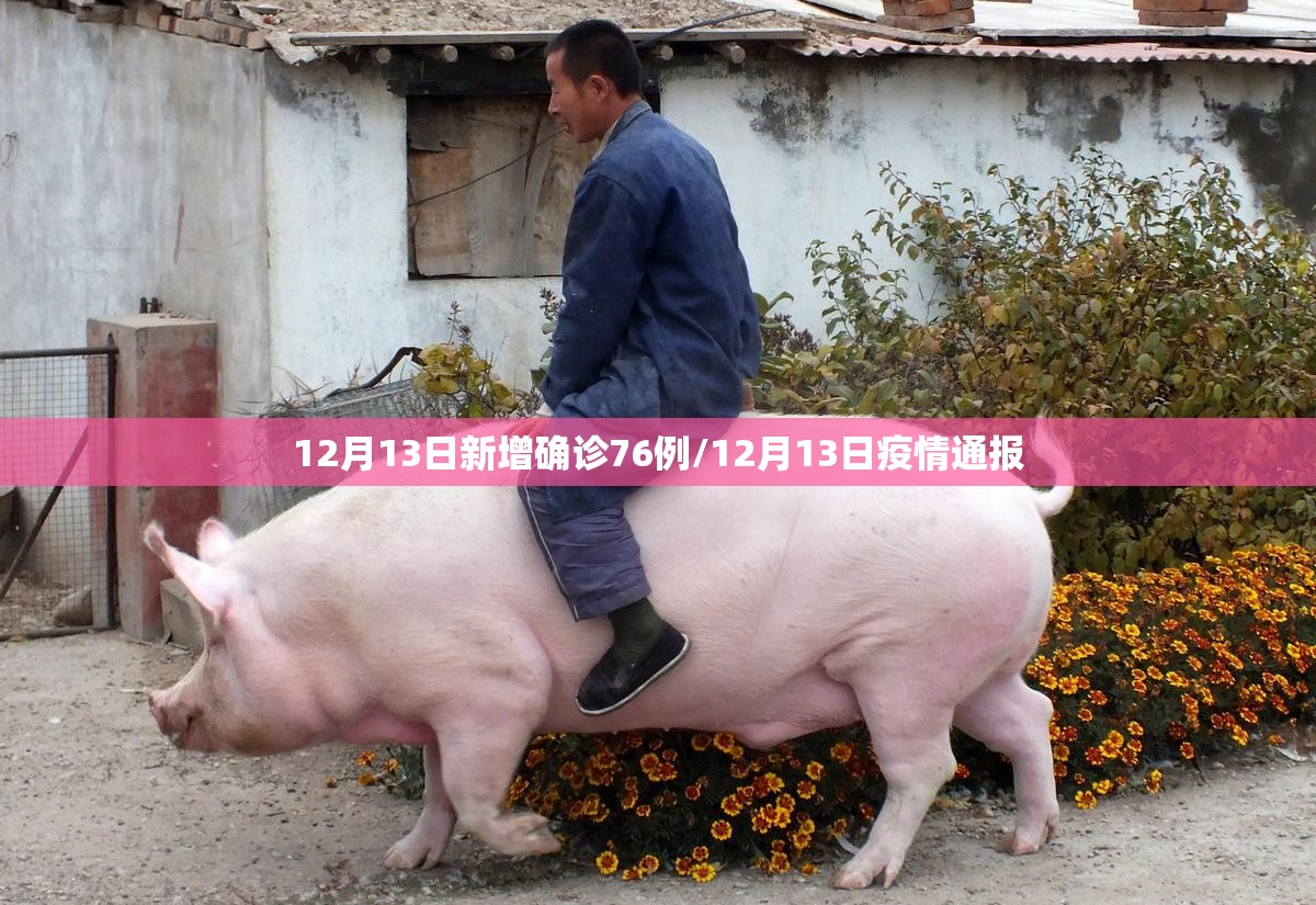 12月13日新增确诊76例/12月13日疫情通报 12月13日新增确诊76例/12月13日疫情通报