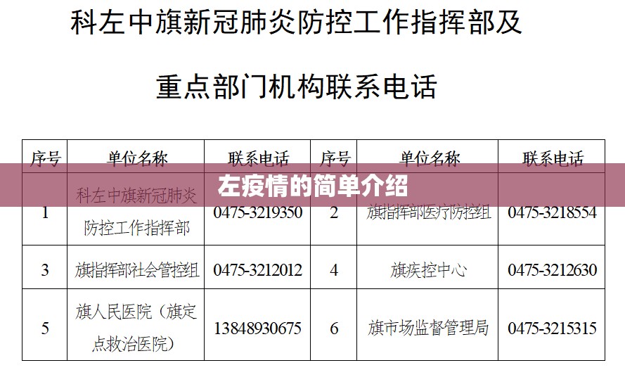 左疫情的简单介绍 左疫情的简单介绍
