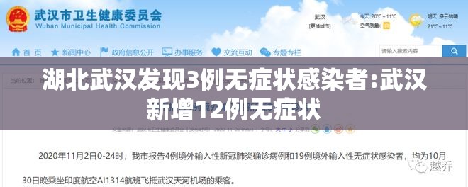 湖北武汉发现3例无症状感染者:武汉新增12例无症状 湖北武汉发现3例无症状感染者:武汉新增12例无症状