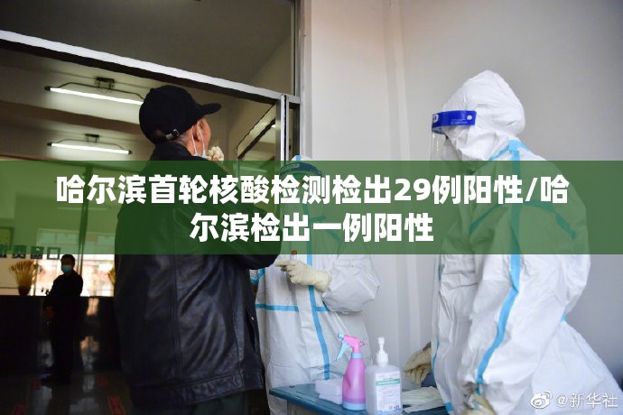 哈尔滨首轮核酸检测检出29例阳性/哈尔滨检出一例阳性 哈尔滨首轮核酸检测检出29例阳性/哈尔滨检出一例阳性