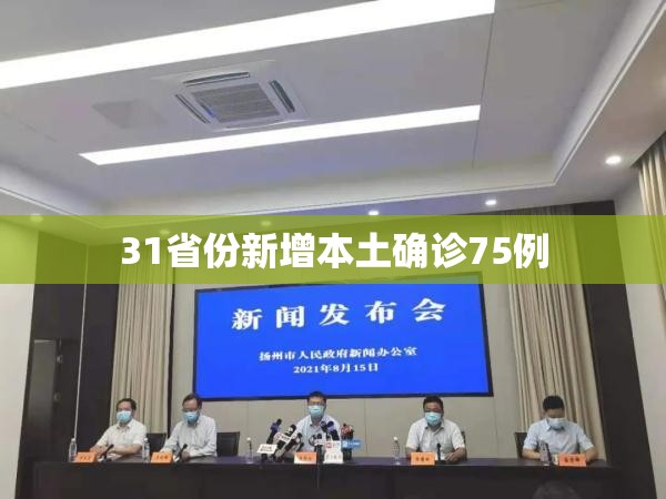 31省份新增本土确诊75例（31省份新增确诊30例本土7例）