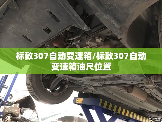 标致307自动变速箱/标致307自动变速箱油尺位置