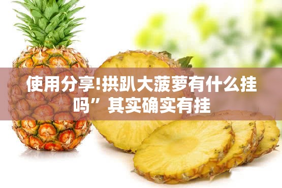 使用分享!拱趴大菠萝有什么挂吗”其实确实有挂