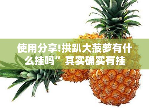 使用分享!拱趴大菠萝有什么挂吗”其实确实有挂