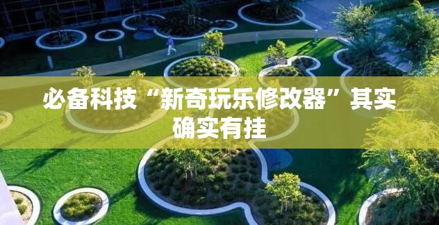 必备科技“新奇玩乐修改器”其实确实有挂