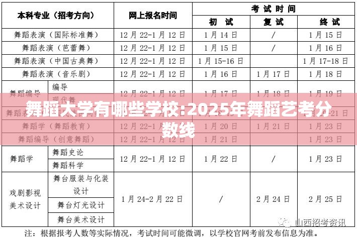 舞蹈大学有哪些学校:2025年舞蹈艺考分数线