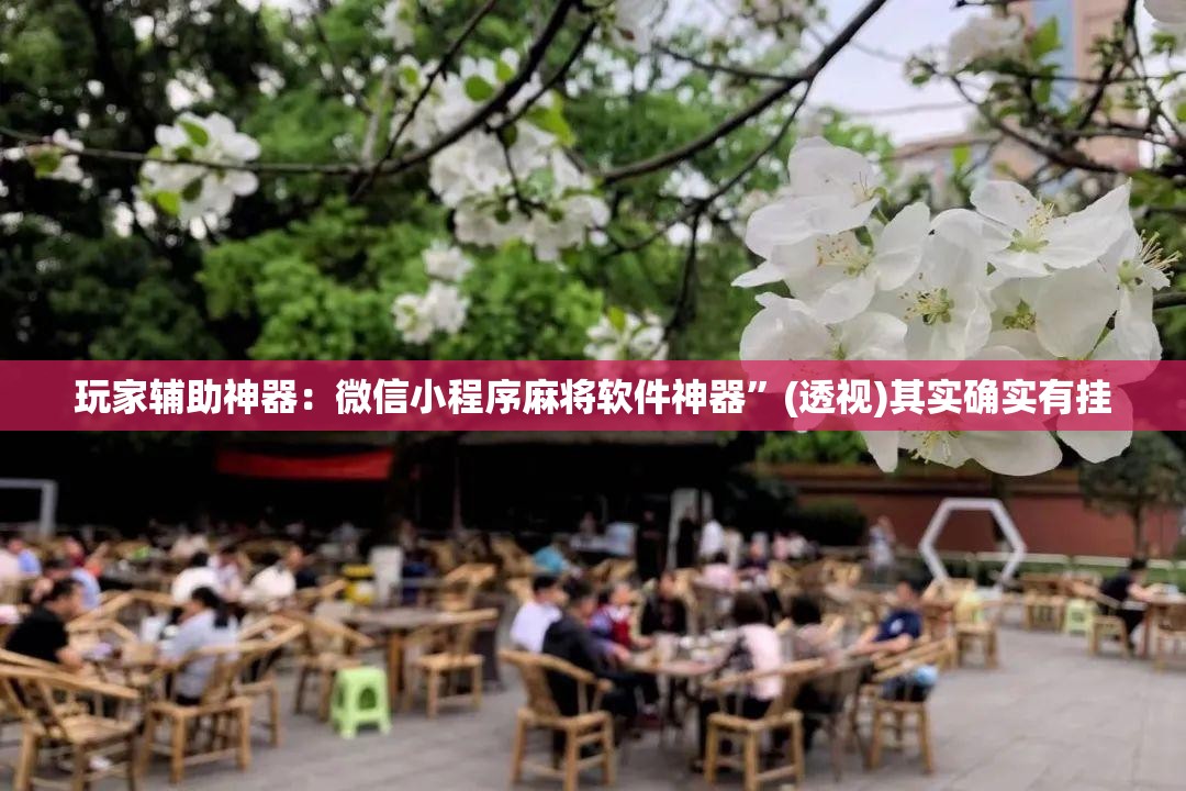 玩家辅助神器：微信小程序麻将软件神器”(透视)其实确实有挂