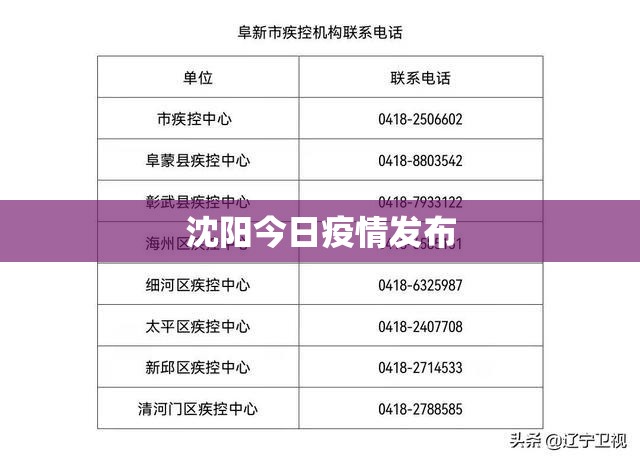 沈阳今日疫情发布(沈阳今日疫情发布轨迹) 沈阳今日疫情发布(沈阳今日疫情发布轨迹)