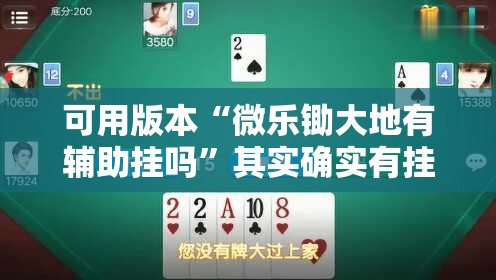 可用版本“微乐锄大地有辅助挂吗”其实确实有挂