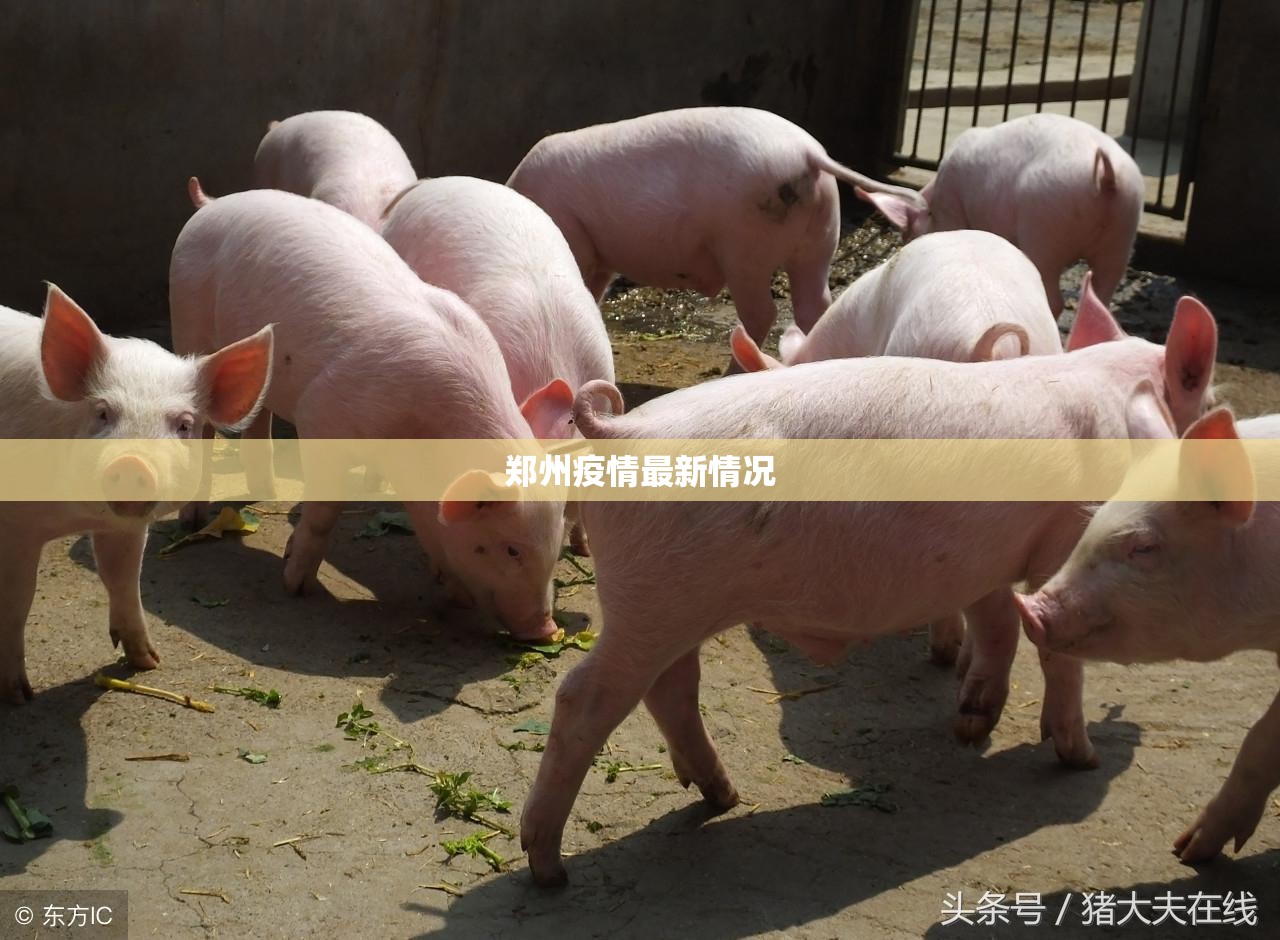 郑州疫情最新情况（郑州疫情最新情况解封通知）