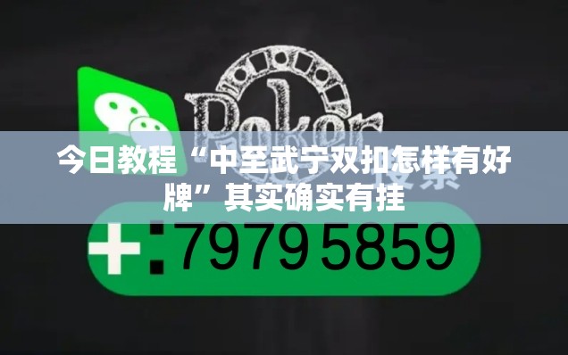 今日教程“中至武宁双扣怎样有好牌”其实确实有挂