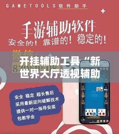 开挂辅助工具“新世界大厅透视辅助软件”原来可以开挂