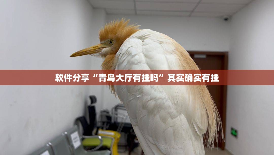 软件分享“青鸟大厅有挂吗	”其实确实有挂