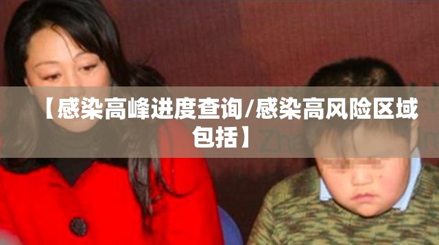 【感染高峰进度查询/感染高风险区域包括】 【感染高峰进度查询/感染高风险区域包括】