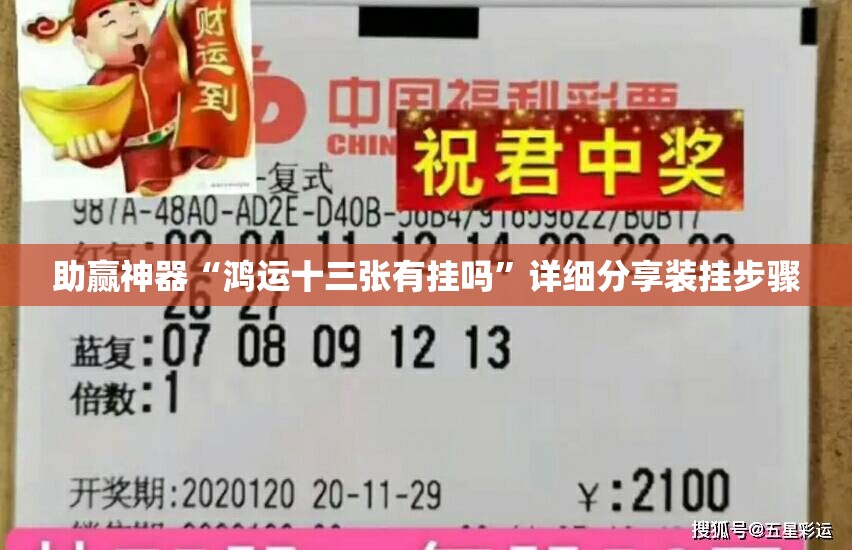 助赢神器“鸿运十三张有挂吗”详细分享装挂步骤