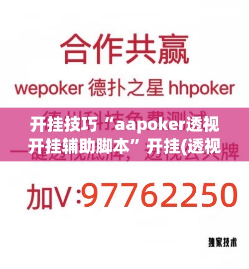开挂技巧“aapoker透视开挂辅助脚本”开挂(透视)最新辅助详细